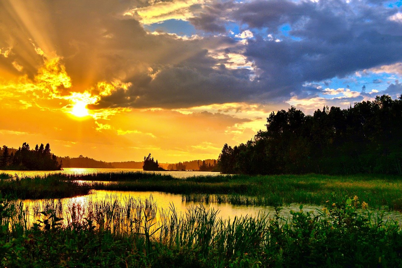 Threats to Biodiversity in the Arctic Tundra